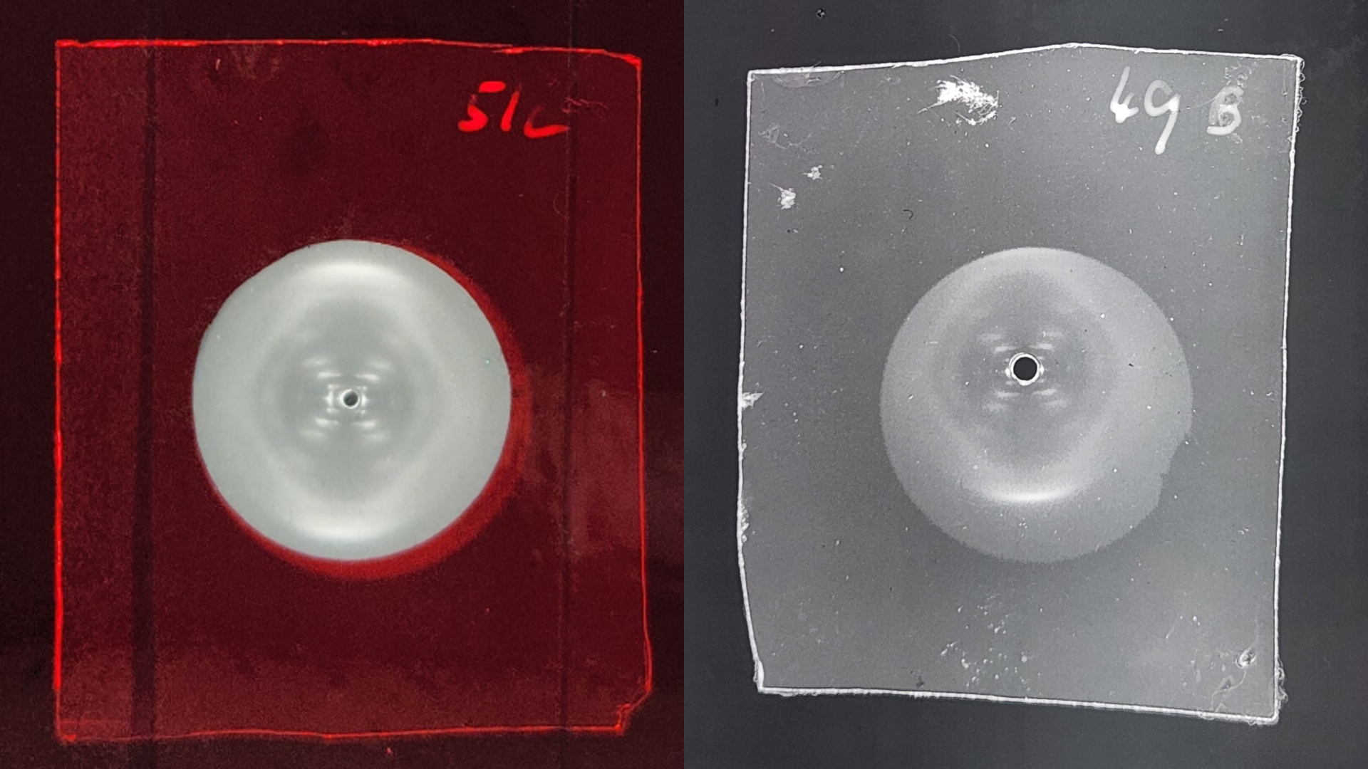 'She knew she had something really important on her hands': Rosalind Franklin figured out DNA's helical structure before Watson and Crick, study suggests