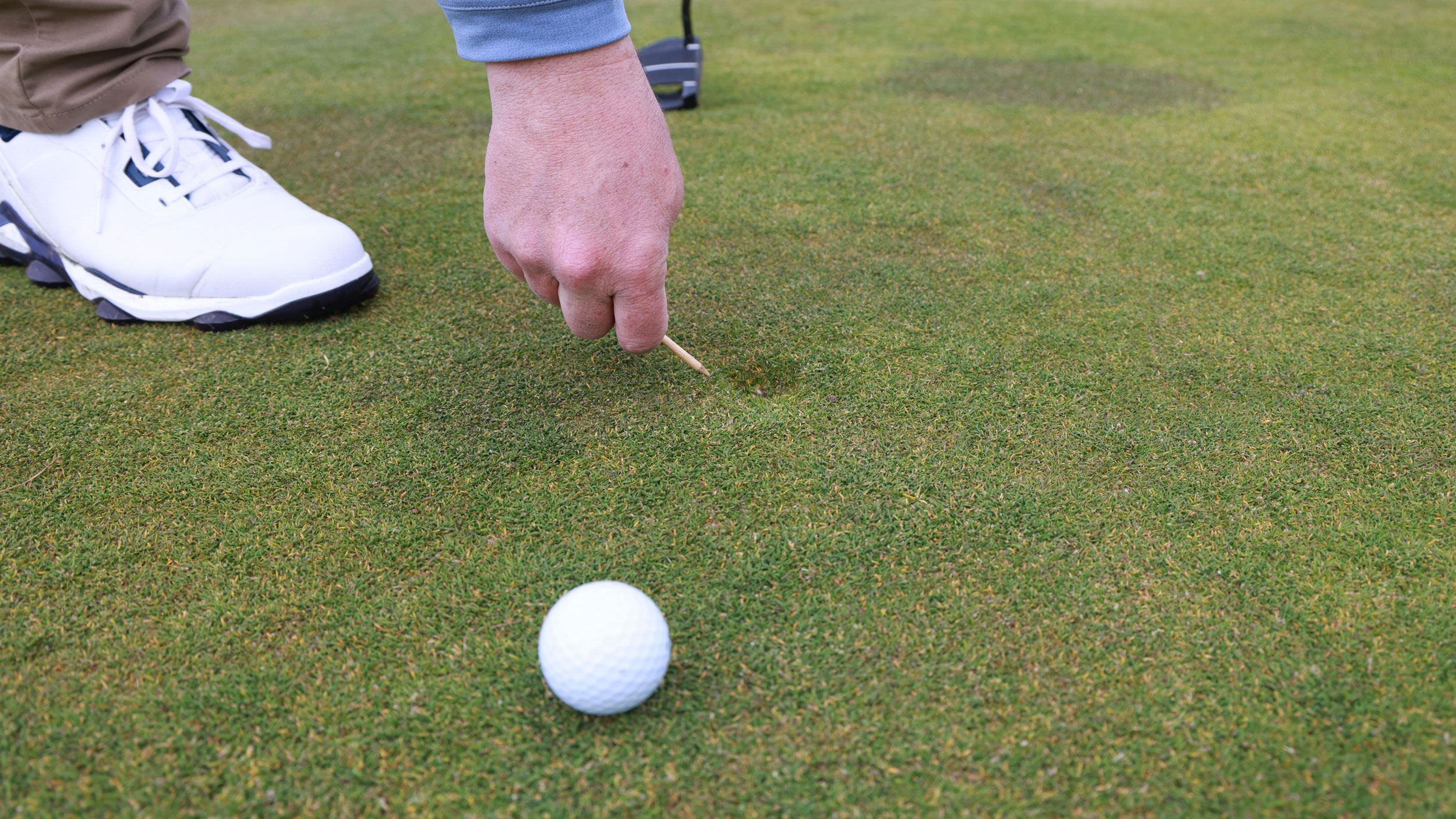 Pitch mark repair
