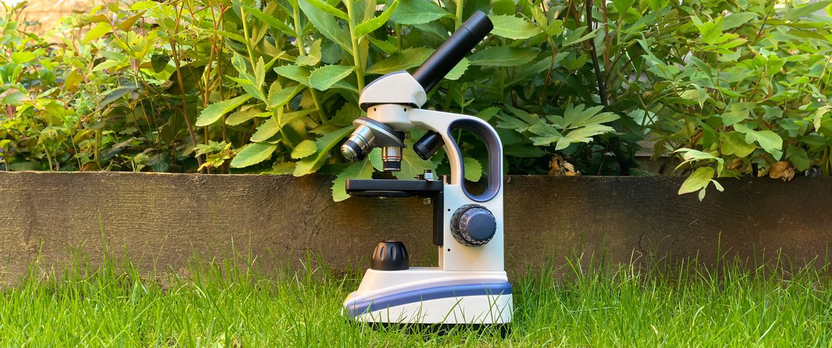 Swift SW200DL microscope in a garden