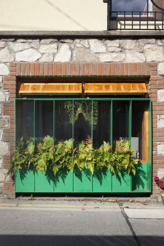 mews house garage conversion with planter and lots of plants in it, in Dublin