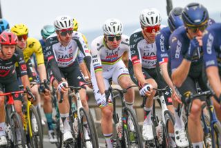 Tadej Pogačar, Wout van Aert caught in crash in finale of Milan-San Remo