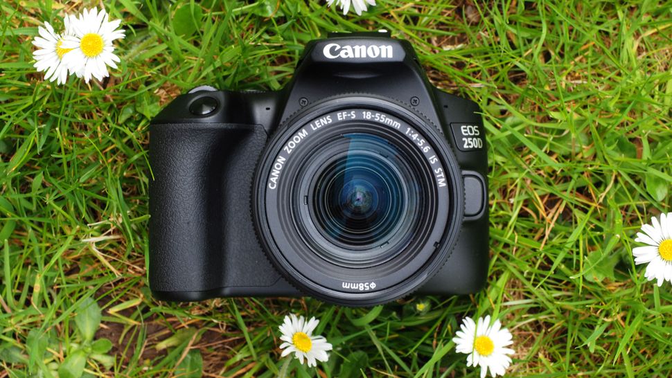 Best camera for macro photography in 2024 Digital Camera World