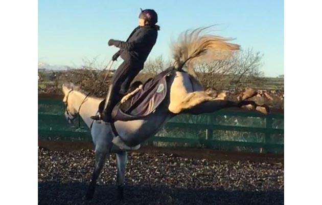 Wendy Scott — “My loon coming back into work after suffering a fractured stifle. The vet wanted gentle walking but Kat had other ideas”