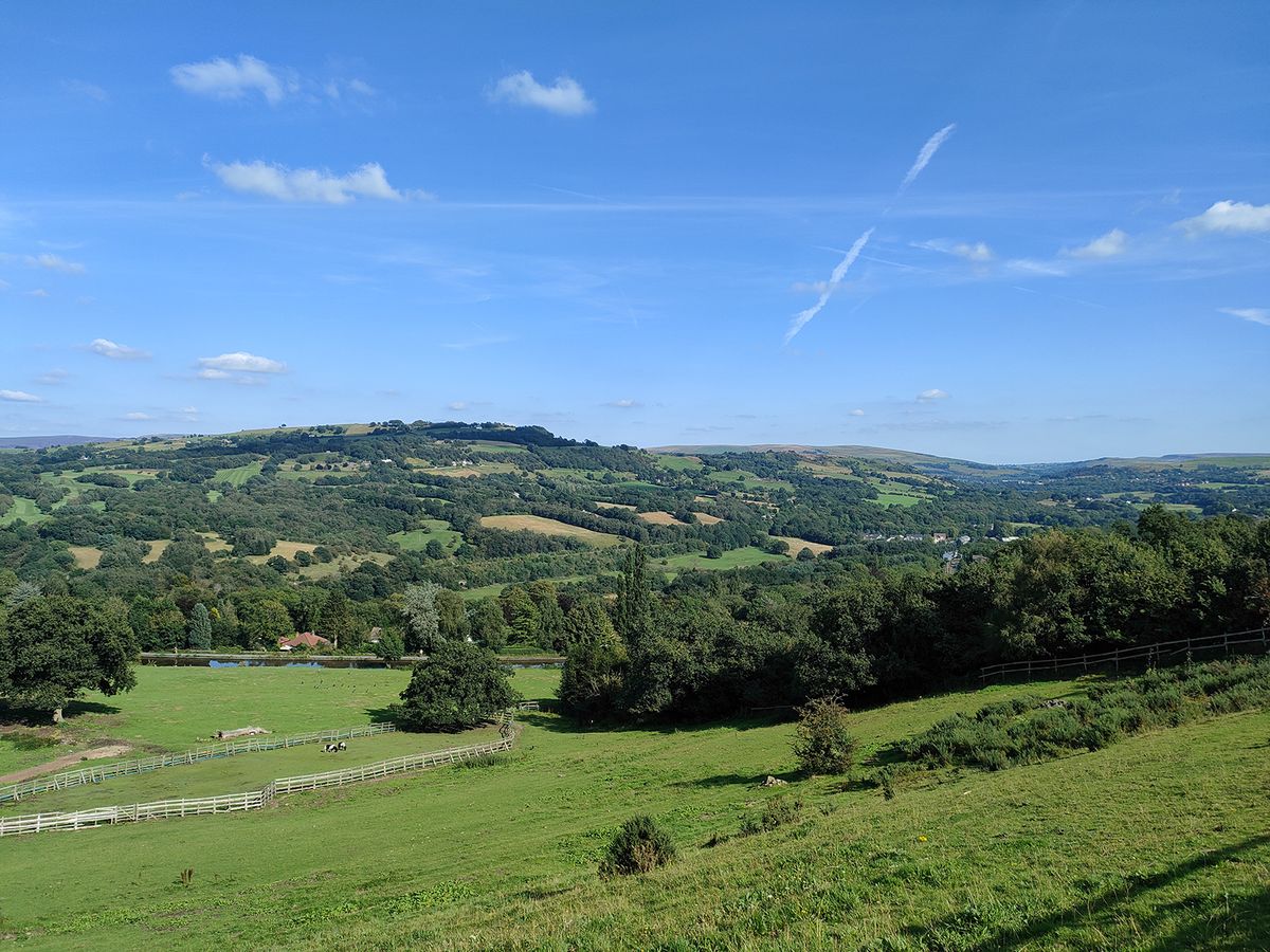 Realme GT Master Edition camera samples &ndash; a sunny landscape.