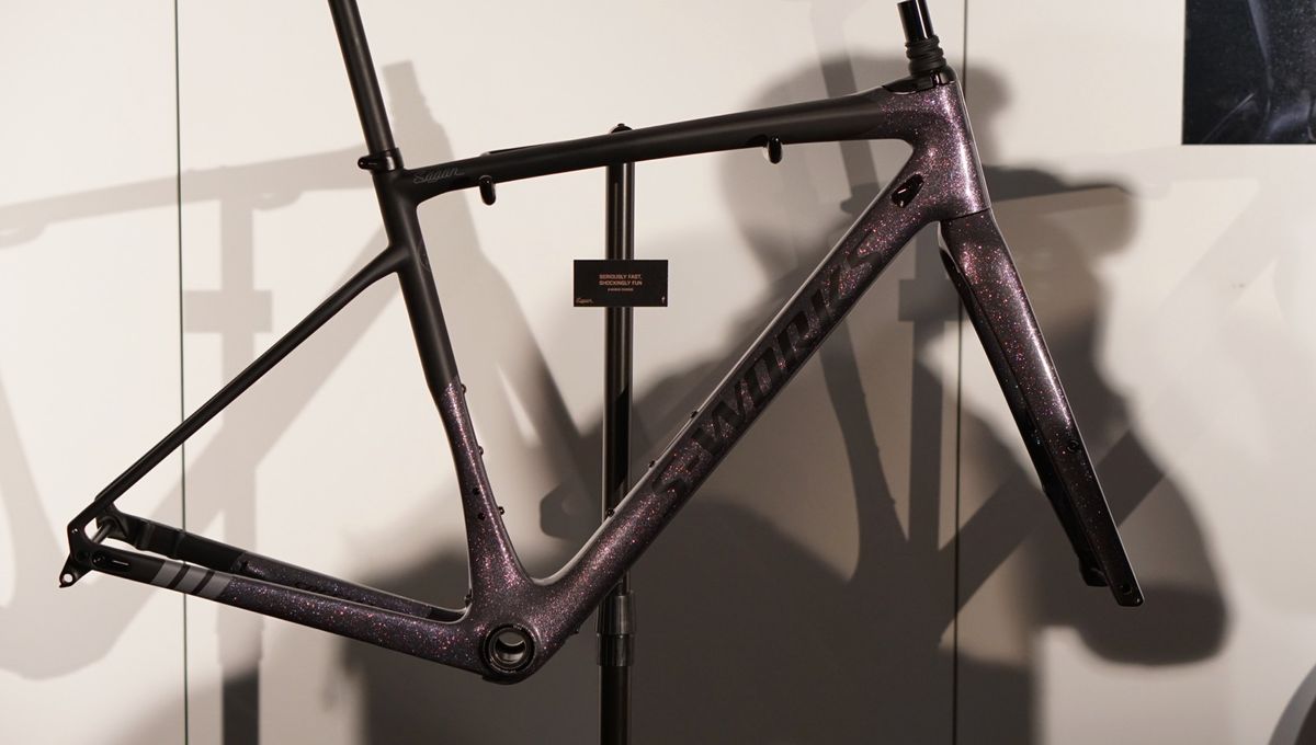peter sagan frame