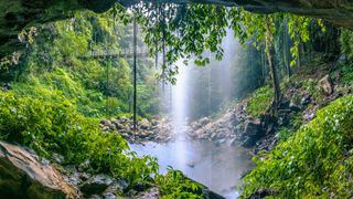 The Crystal Shower Falls at the Dorrigo National Park, Australia