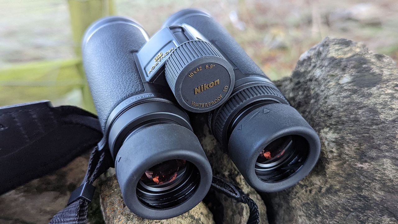 Close up view of the binocular badges
