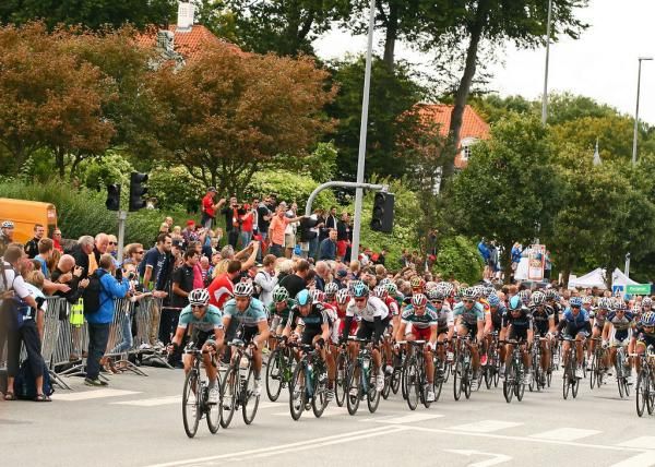 Quickstep leads the peloton