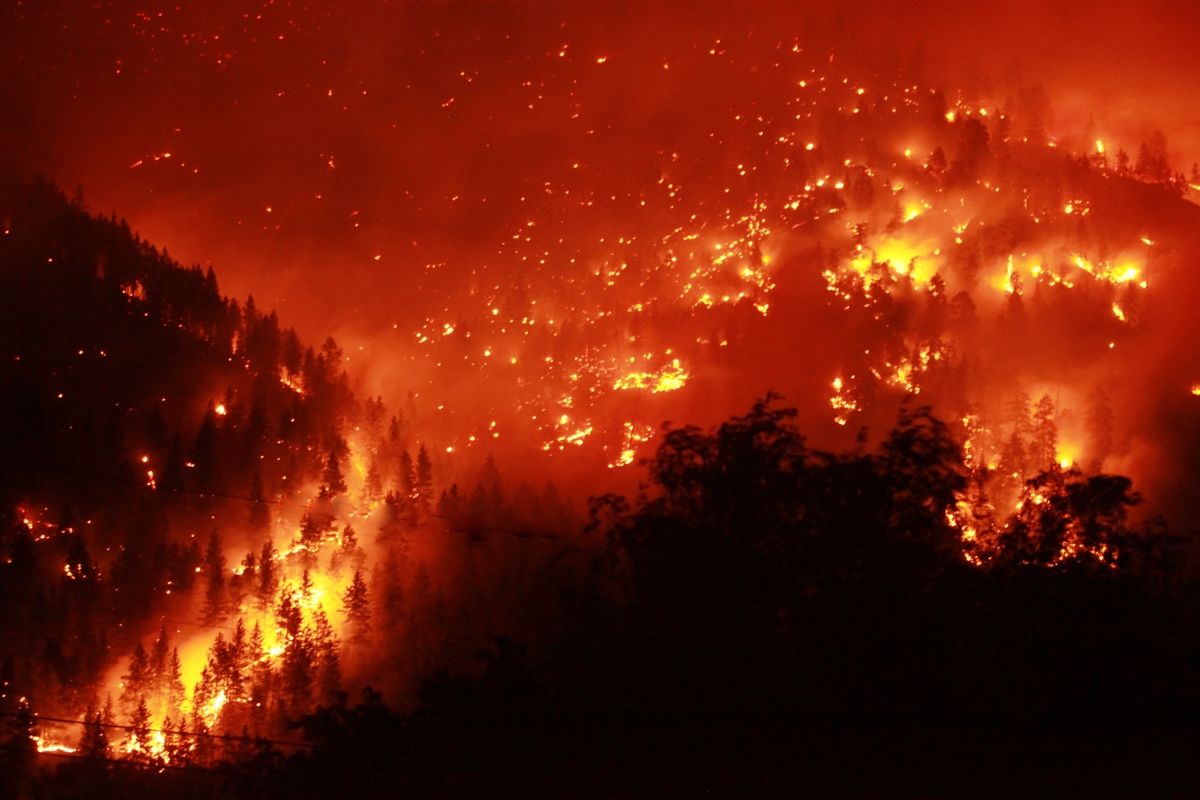 How Do Wildfires Start Live Science