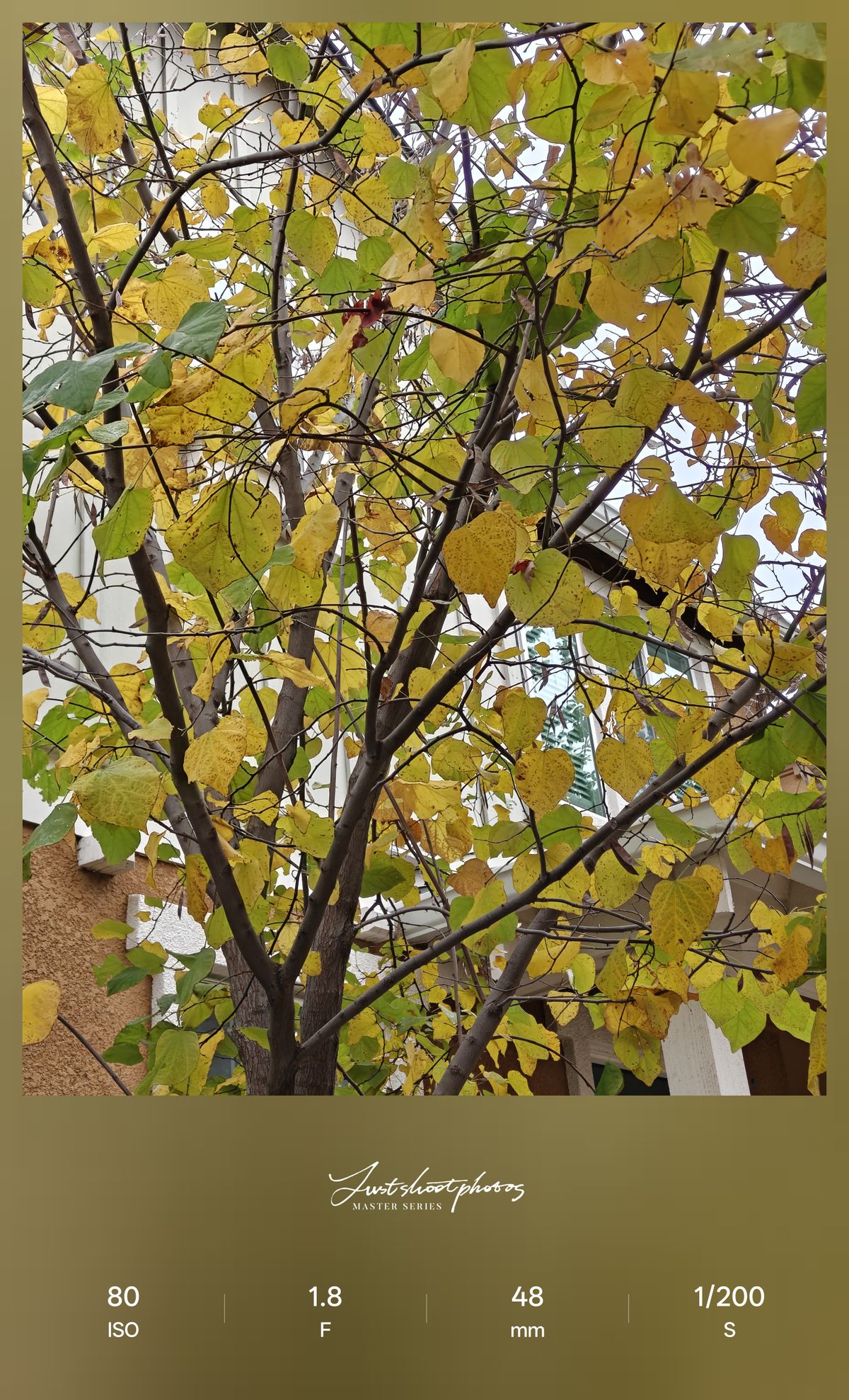 OnePlus 15 camera testing