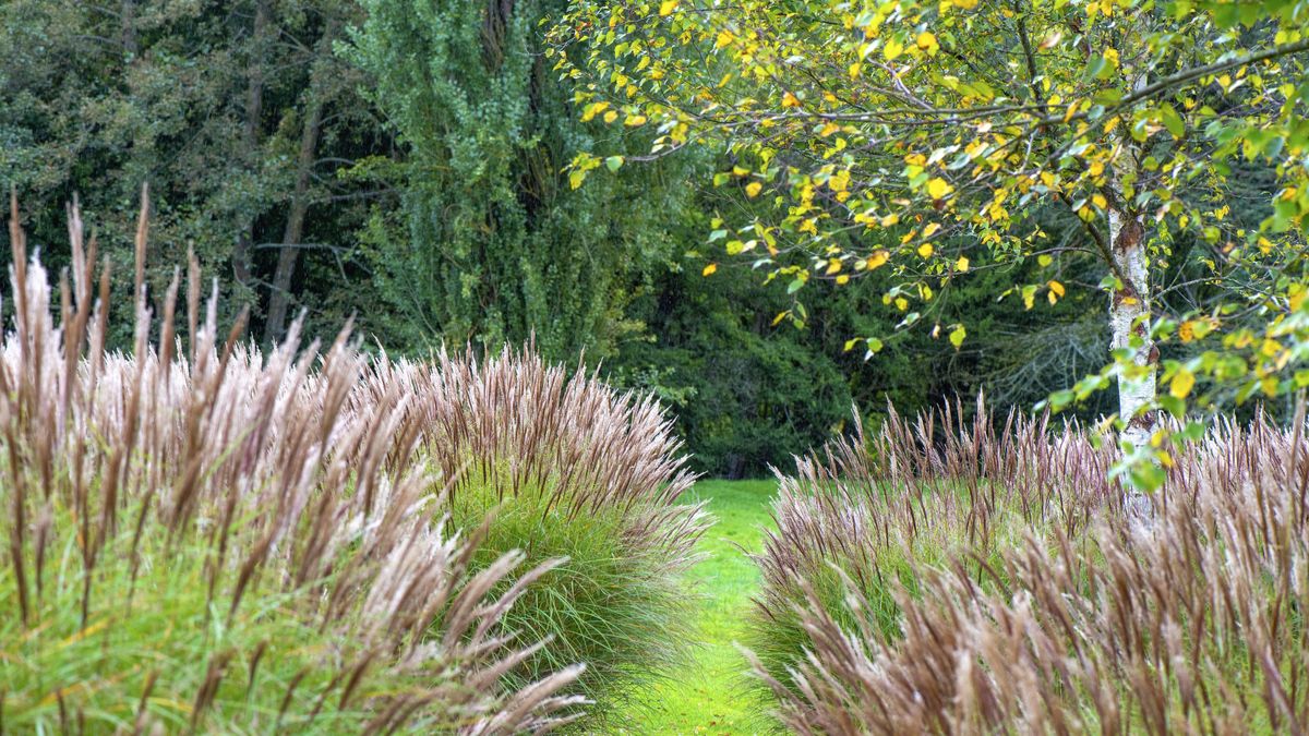 Comment arroser votre jardin à l'automne 