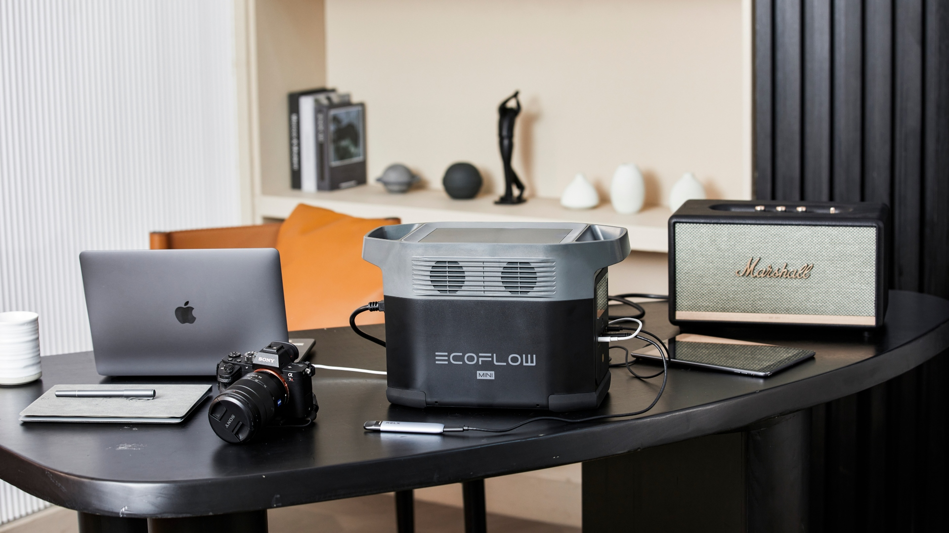 Ecoflow Delta Mini