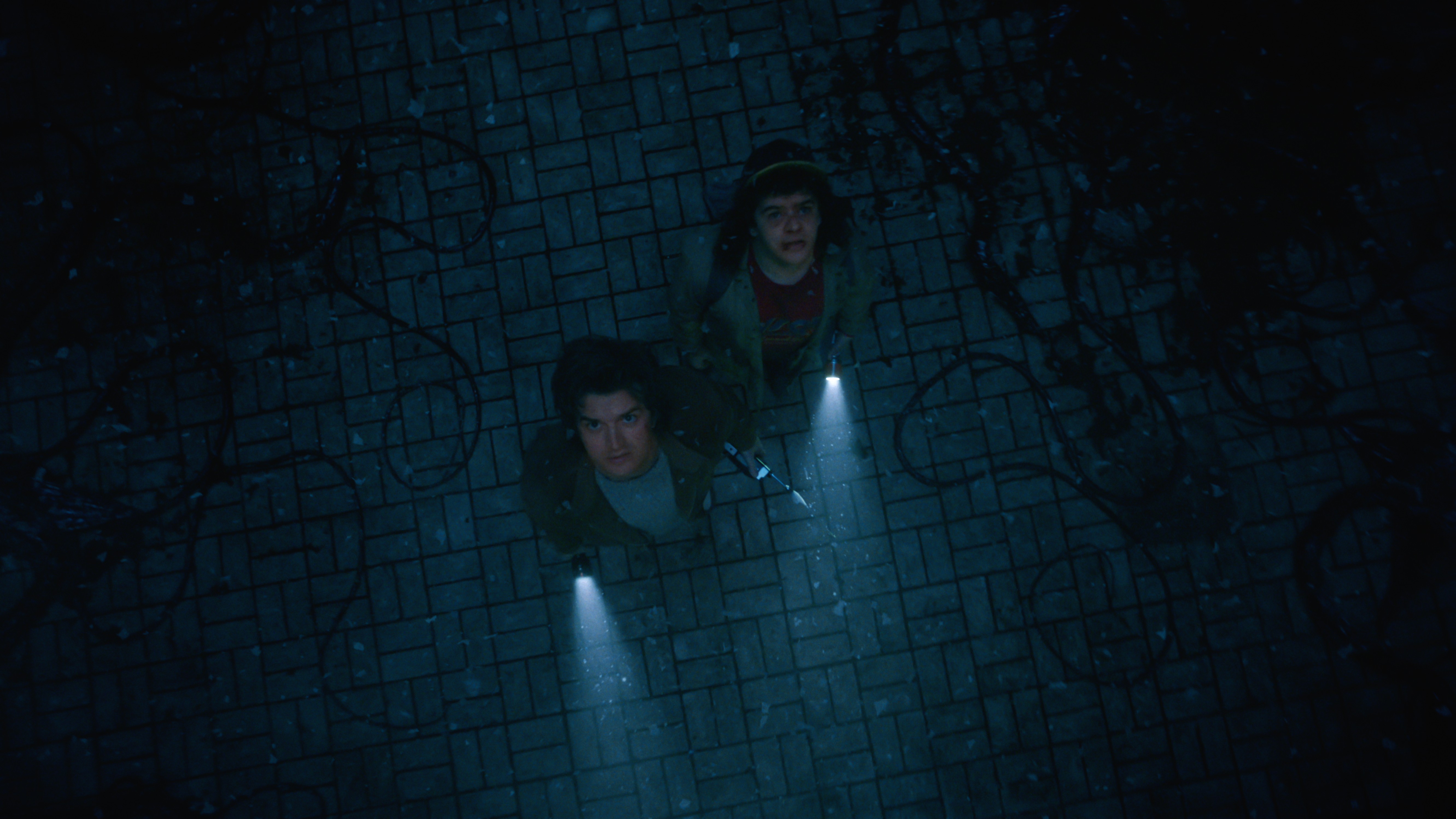 L-R: Steve (Joe Keery) and Dustin (Gaten Matarazzo) exploring the Upside Down in "Stranger Things" season 5