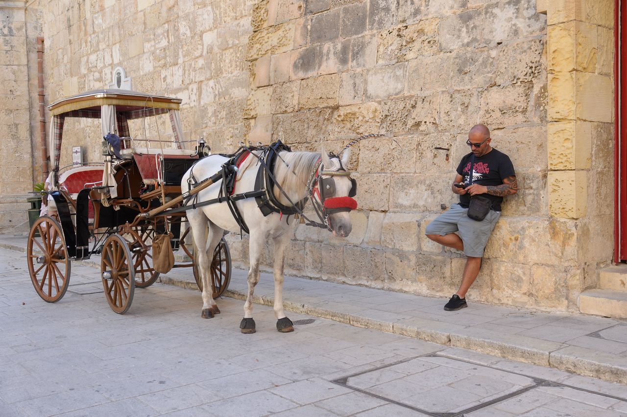 Sony RX10 V bridge camera sample gallery, can leaning against a wall texting, next to his horse and cart in ancient town