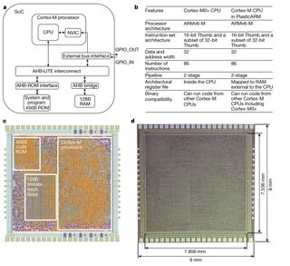 A high-level overview of the PlasticArm test chip and its design
