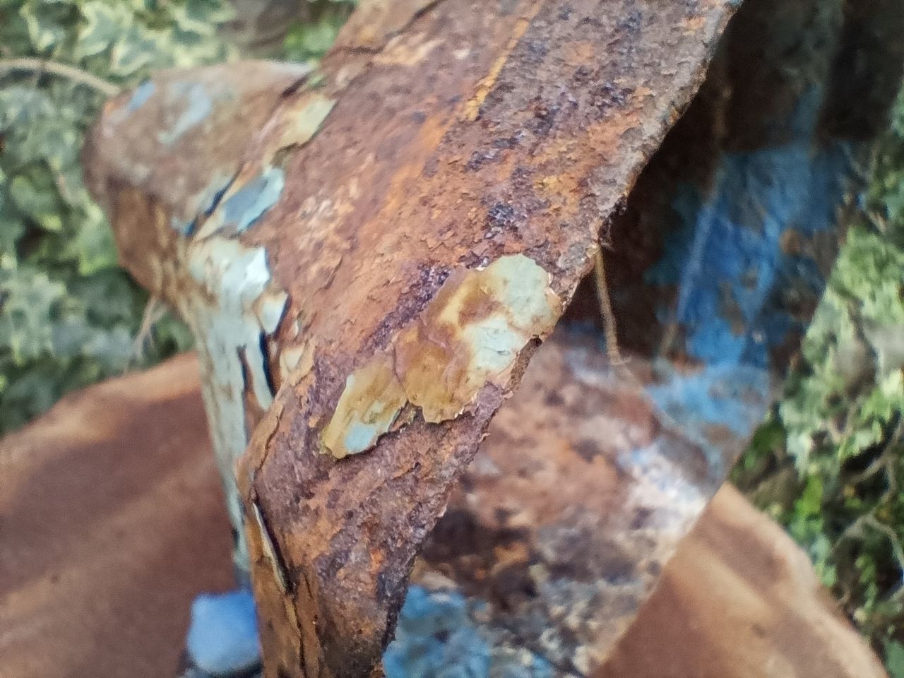 Realme 7 5G camera sample