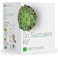 Plant Theatre So Succulent Kit | £8.29 at Amazon