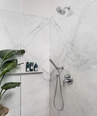 Marbled shower enclosure with chrome fittings and a built-in shelf with green products and a plant