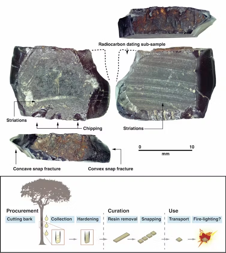 Un diagrama científico que muestra cómo los antiguos humanos podrían haber utilizado la resina de los árboles