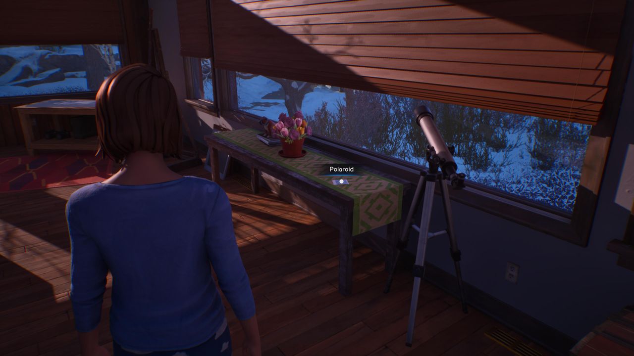 Life is Strange: Double Exposure Polaroid 3, chapter 1
