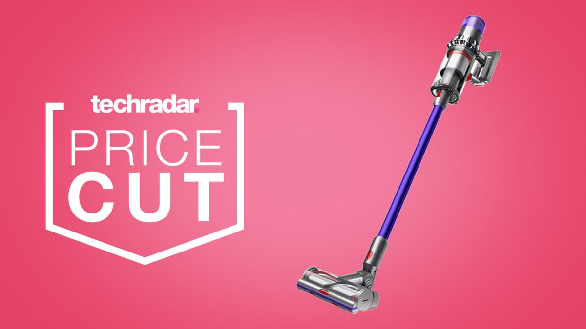 Dyson's Mother Day sale gets you 100 price cut on the Dyson V11 vacuum