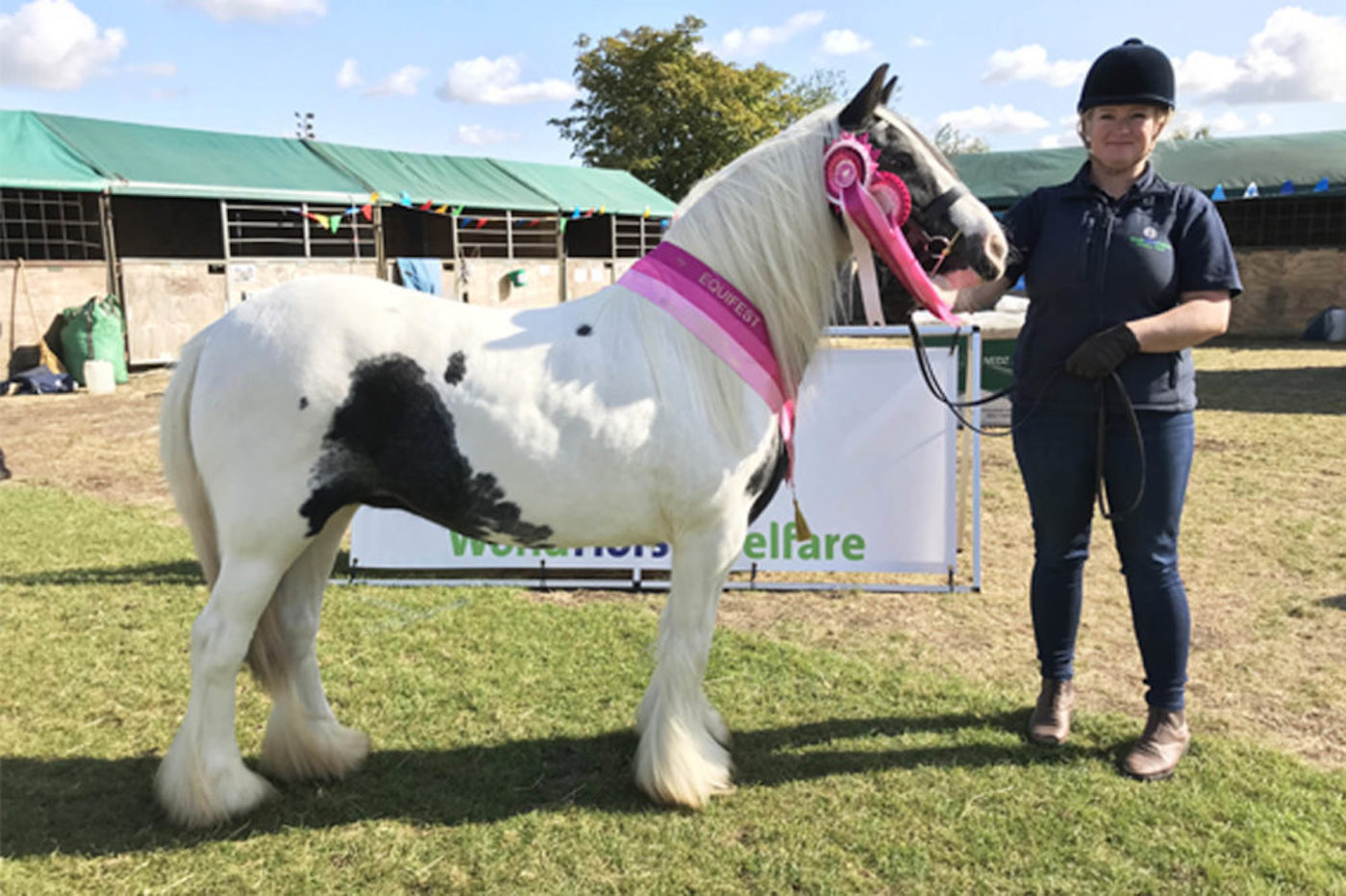 Buttercup-Equifest.jpeg