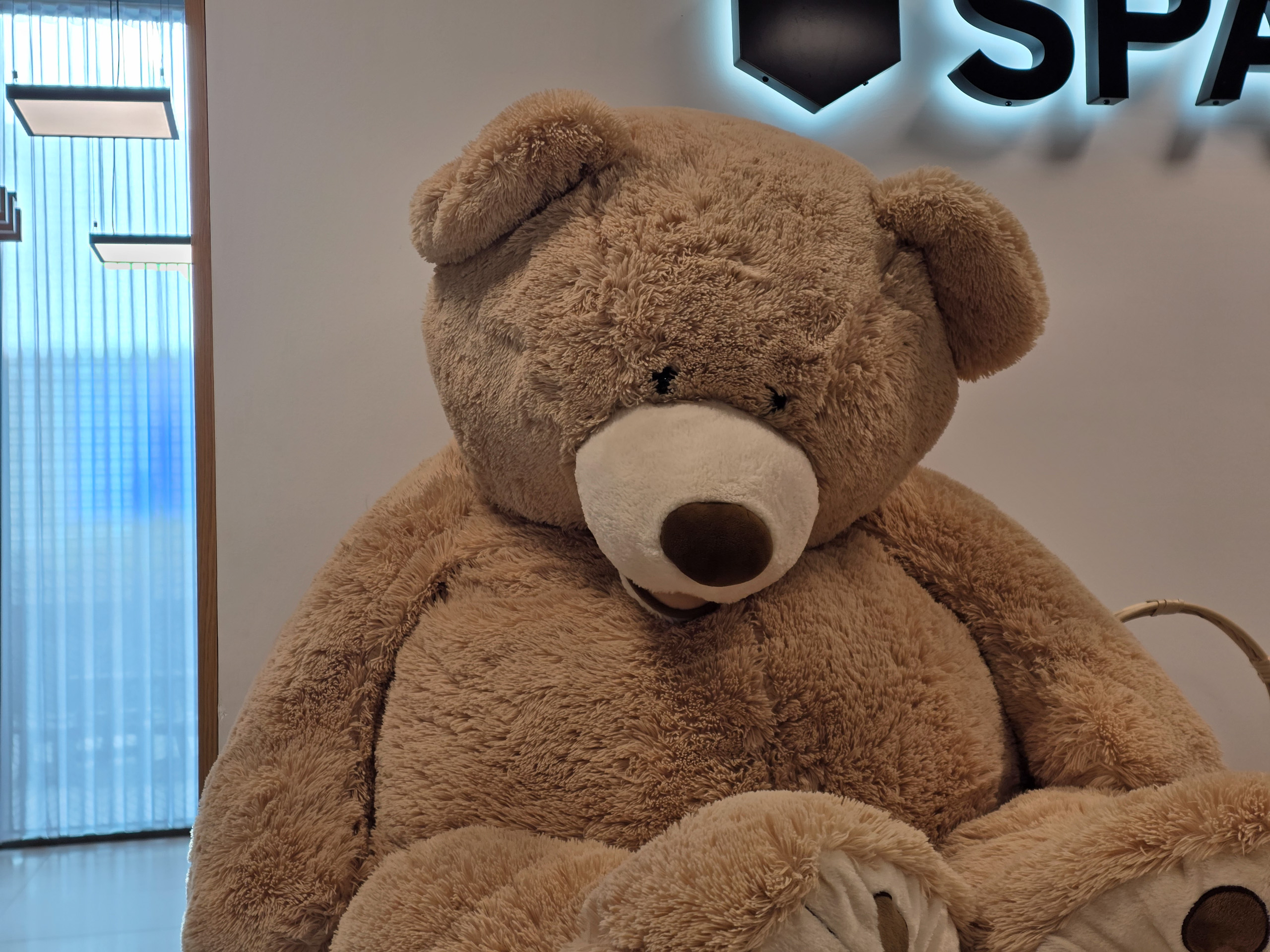 Camera sample captured on the Samsung Galaxy S25 Edge