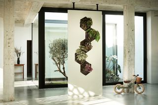 living wall in a modern home
