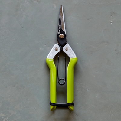 Burpee CR725 Garden Pruning Shears