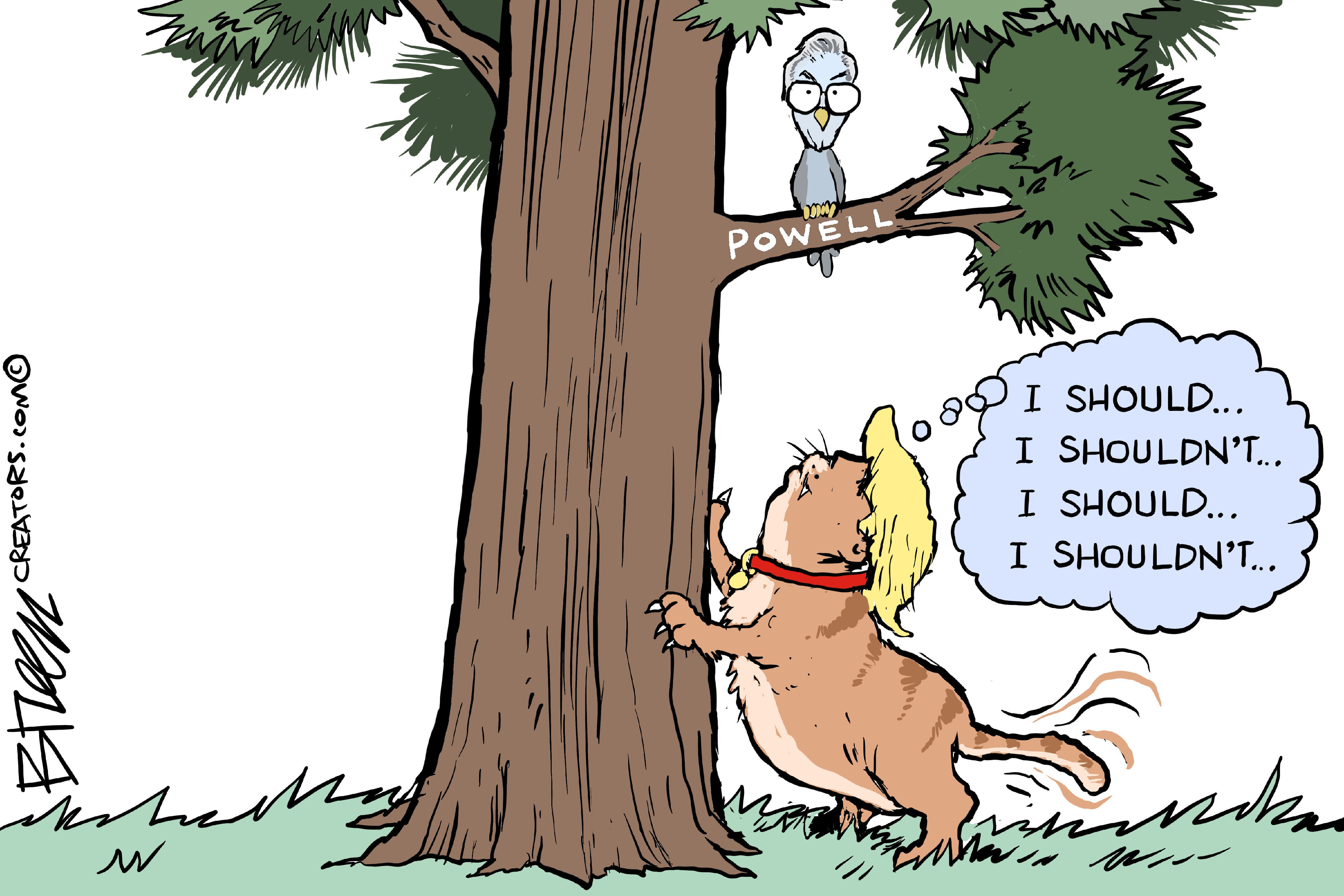 Political Cartoon