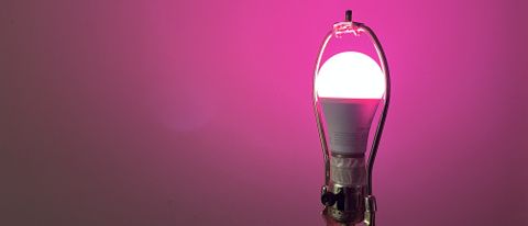 GE Cync Lighting Dynamic Effects Smart Bulb illuminated pink