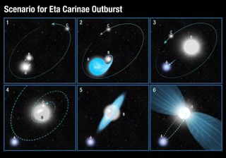 How a triple-star system could have produced the enormous blast at Eta Carinae, according to researchers at the Space Telescope Science Institute. 1) Two massive stars, A and B, are orbiting each other, while a third, C, circles further away. 2) The most massive star, A, nears the end of its life and begins to expand, releasing material onto star B. 3) B bulks up to about 100 times the sun's mass and becomes blazingly bright, while A is stripped down to its hot helium core, moving away from B as its mass changes. 4) A gets close enough to C to affect its orbit, and the two trade places, with A moving outward. 5) C moves inward and interacts with B, creating a disk of material around it. 6) C merges with B, sparking an explosion of material from the system. A survives and continues to orbit, passing through the gas every 5.5 years and producing X-ray shock waves.