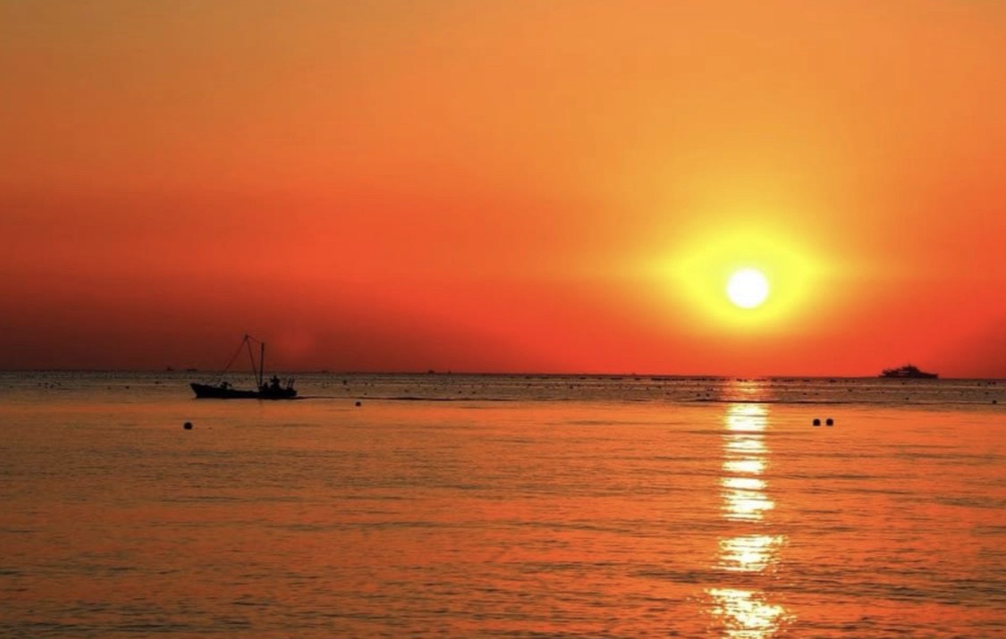 GuruShots - Nature March 2026