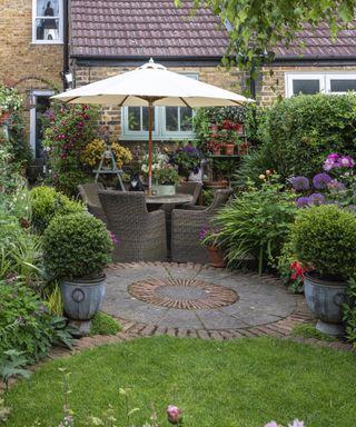 In small town garden, view back to patio by house clad in Clematis 'Madame Julia Correvon', and shelving with pots of nemesias or surfinias. RH bed planted with peonies, roses, alliums and yellow loosestrife. In pots, small-leaved hollies, Ilex crenata 'Kinme'. Fuchsias in pots on left fence panel.
