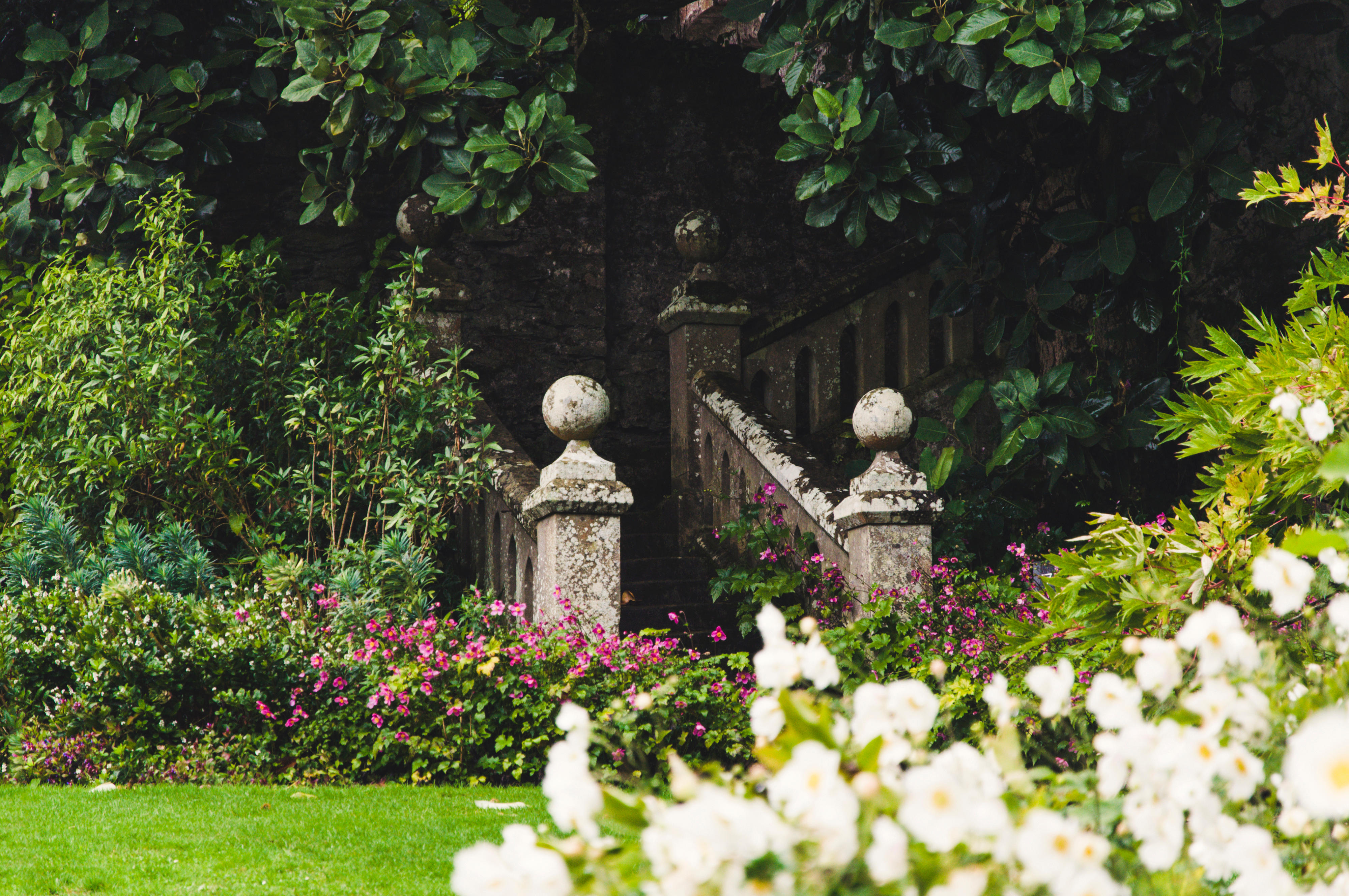 An elegant English garden