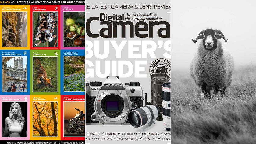 Digital Camera 300 download