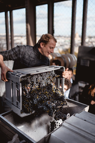 Eiffel Tower winery pouring grapes