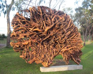 sculpture made from the trunk and root ball of a camphor laurel