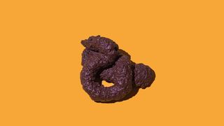 Human or animal poop of brown color lying on yellow background.