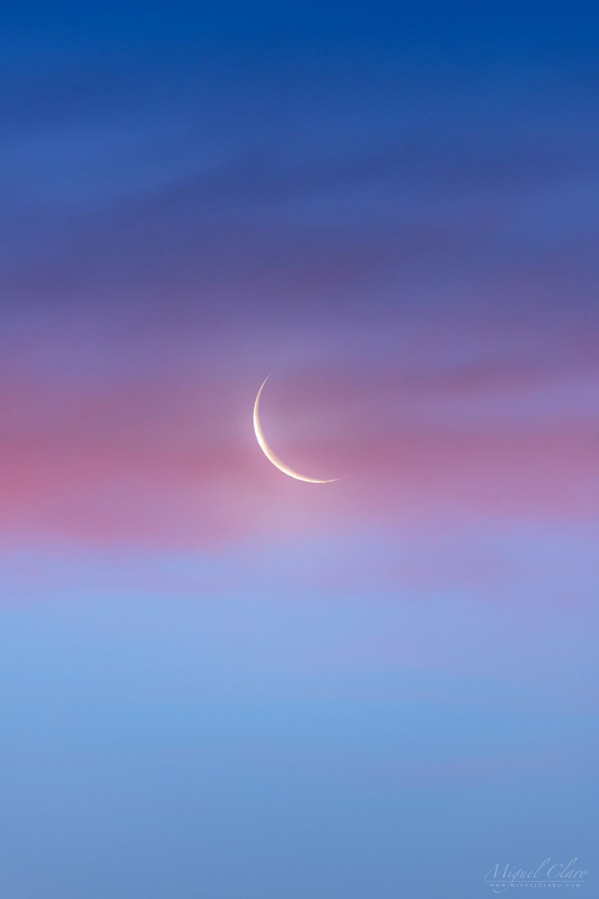 Pink Clouds Adorn Crescent Moon In Gorgeous Photo 