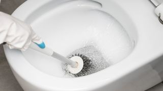 Toilet brush