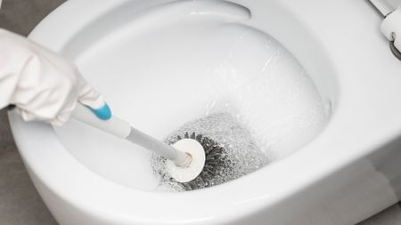 Toilet brush