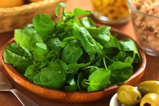 A bowl of watercress.