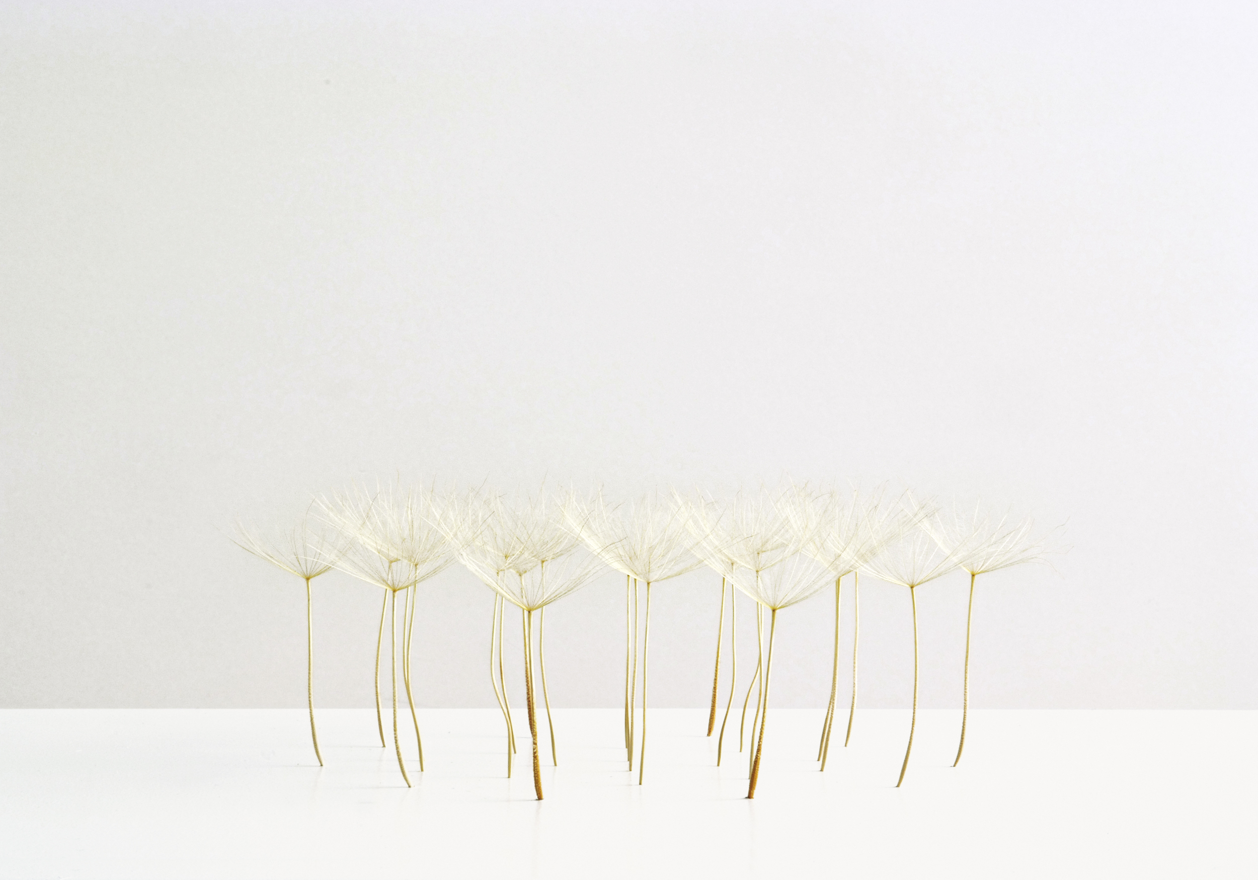 Christiane L&amp;ouml;hr 2009