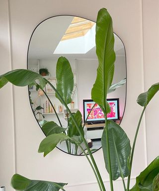 @irma_van_69 photo of organic shaped mirror with black frame by plant