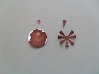 Dried blood samples on filter paper.