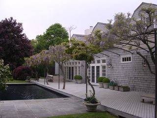 pool deck with trees and wisteria