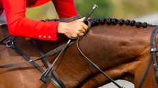 FEI-RULES-BEN-CLARK-PHOTOGRAPHY-QUAL-RIGHTS-cropped.jpg