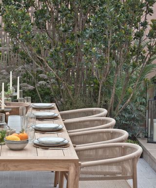 garden dining table with privacy screening