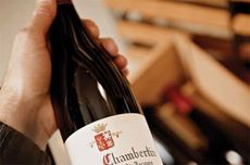 red burgundy 2015